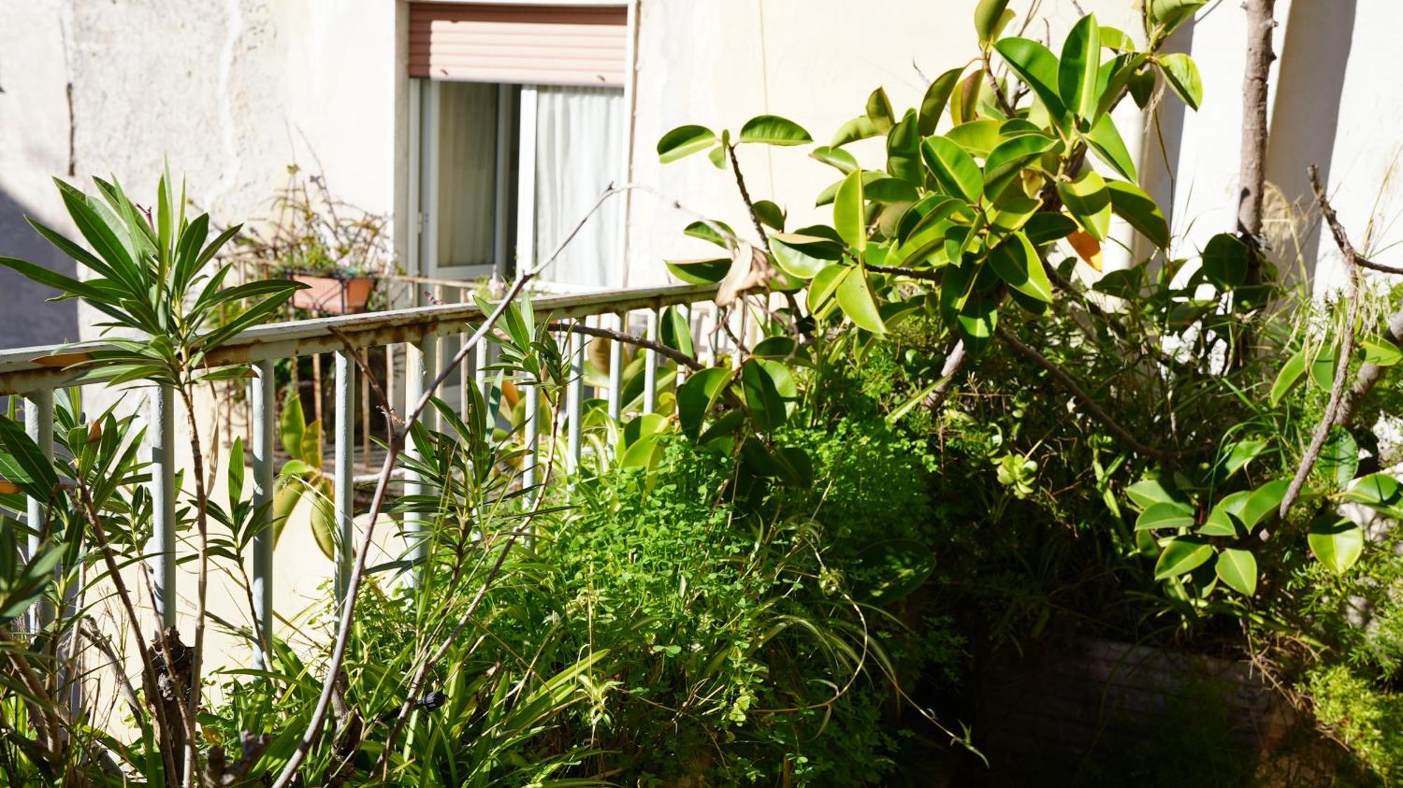 Centro Spaccanapoli Apartment Naples